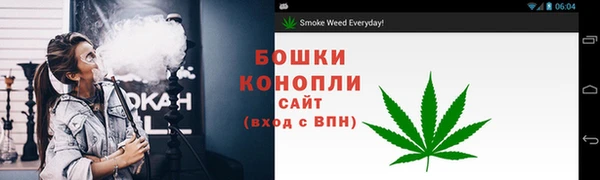 Альфа ПВП Верея