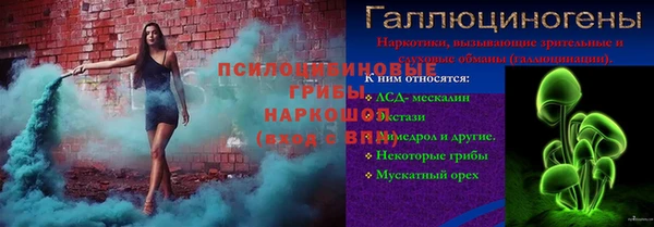 Альфа ПВП Верея