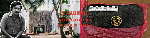 Альфа ПВП Верея