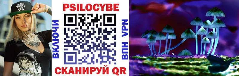 Купить  Барабинск  Псилоцибиновые грибы мицелий 